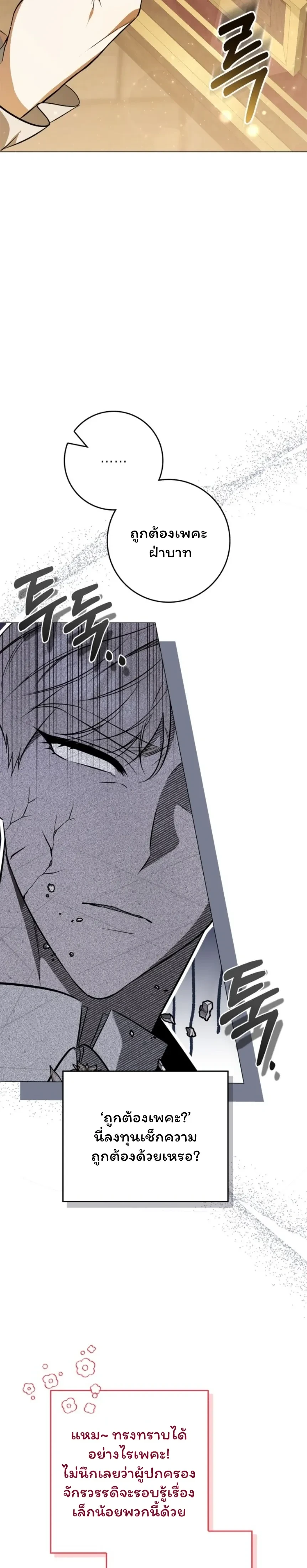 หน้าที่ 29