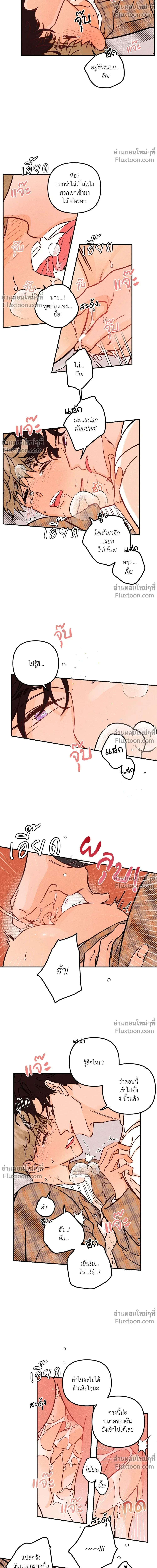 หน้าที่ 10