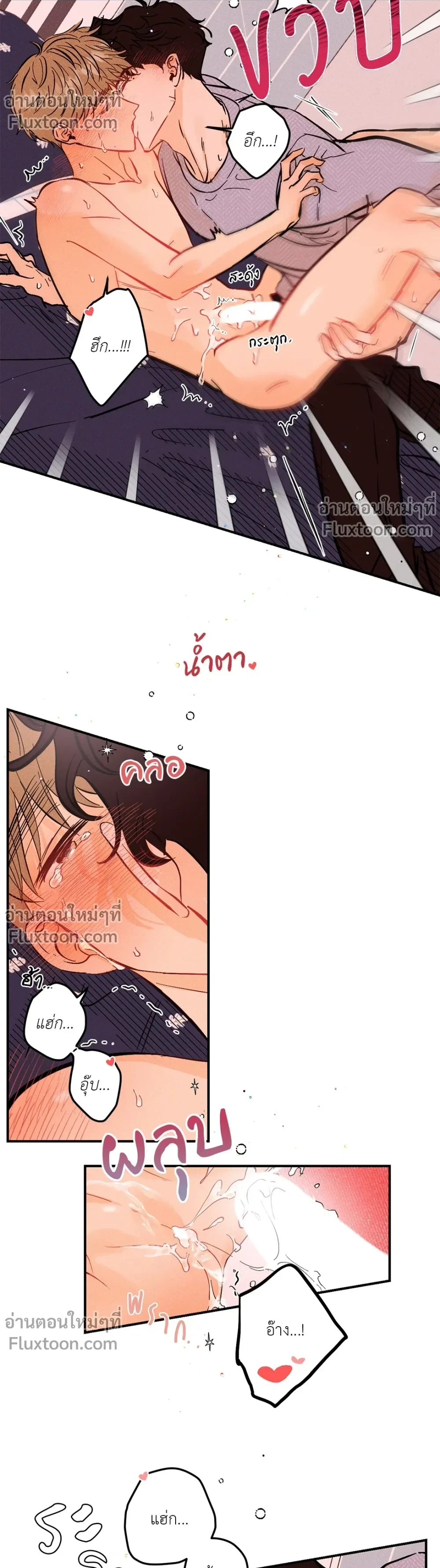 หน้าที่ 11