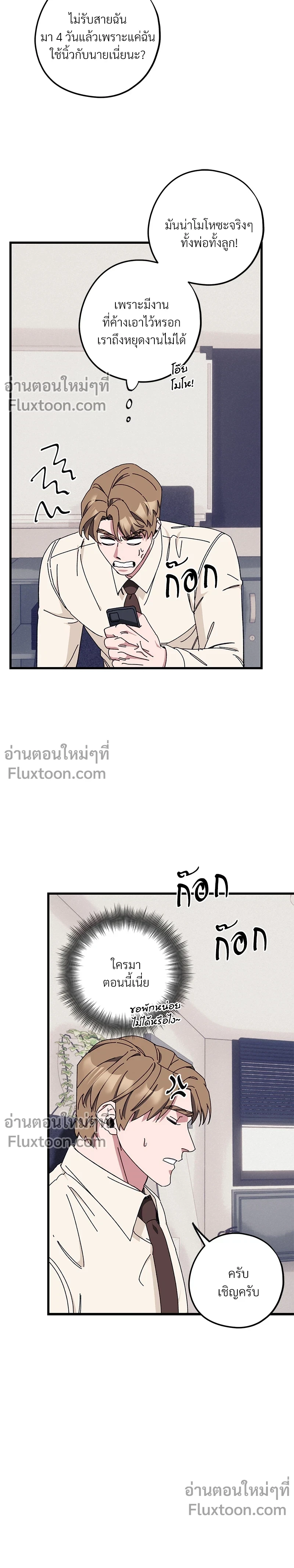 หน้าที่ 13