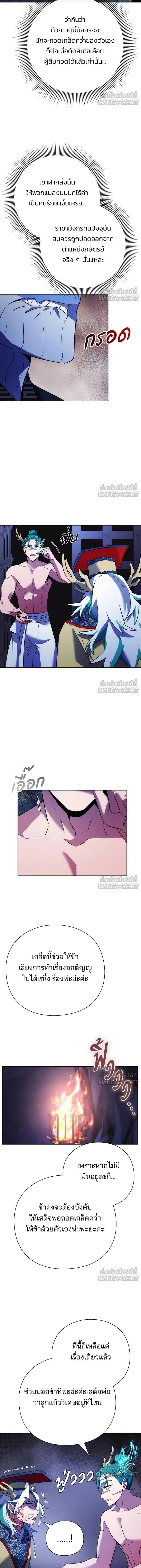 หน้าที่ 13